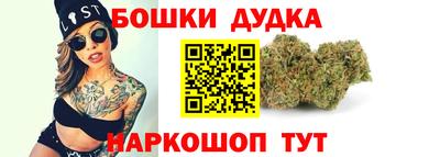 гидра Боровичи